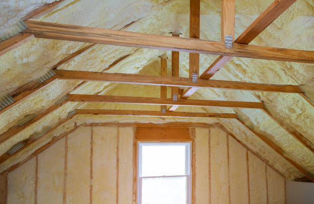 Best Residential Insulation in Wild Peach Village, TX