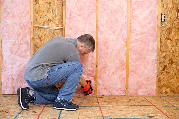 Best Types of Insulation in Wild Peach Village, TX